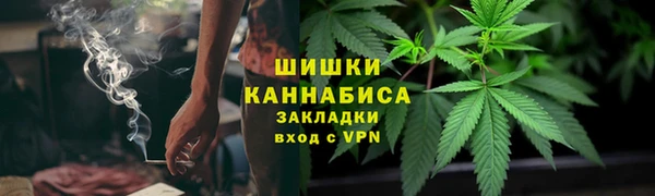 PSILOCYBIN Белокуриха